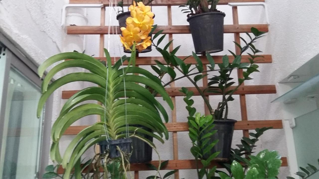 Maceió Hostel Pajucara מראה חיצוני תמונה